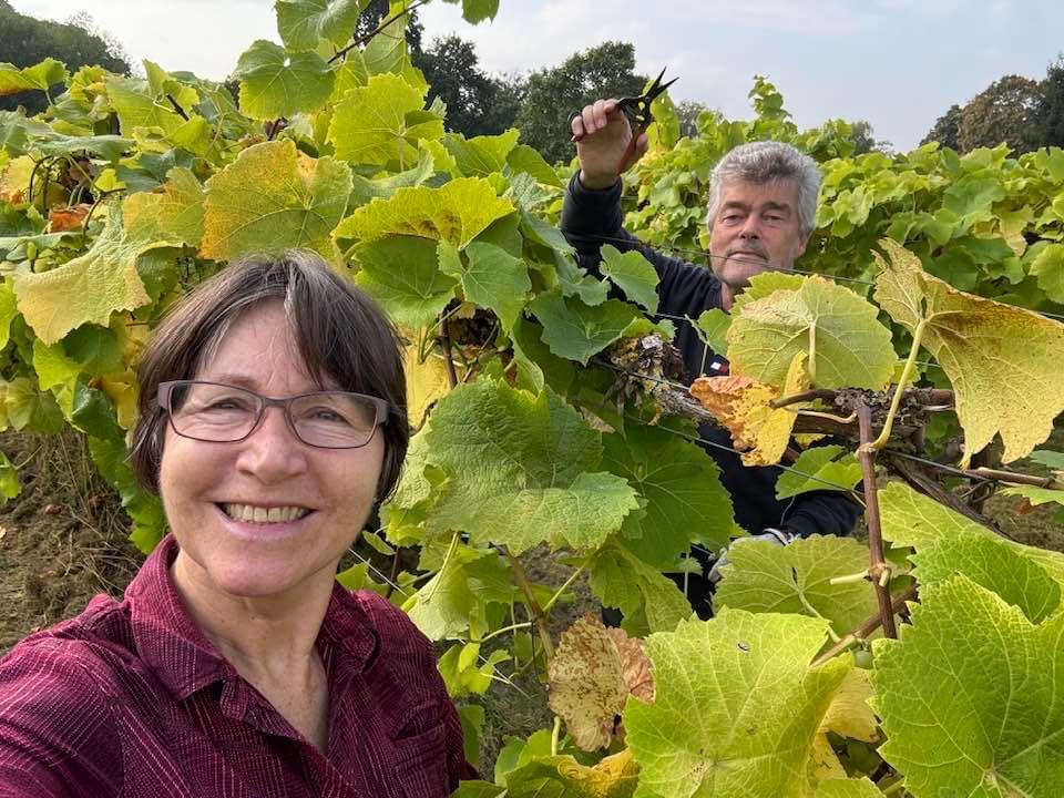 Rothley Wine