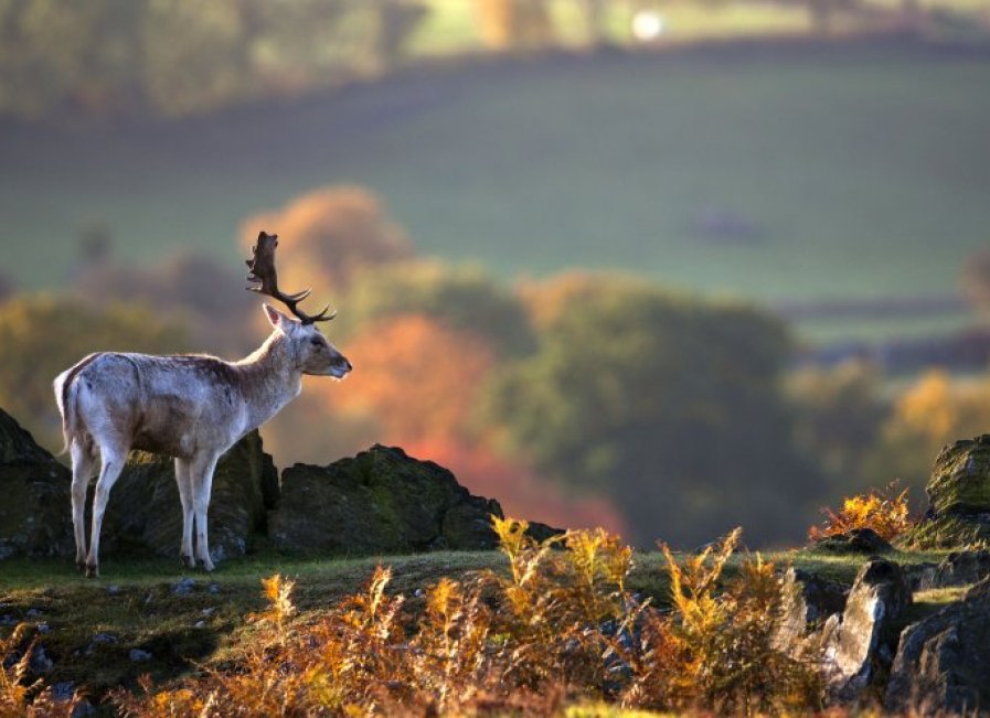 Discover Charnwood