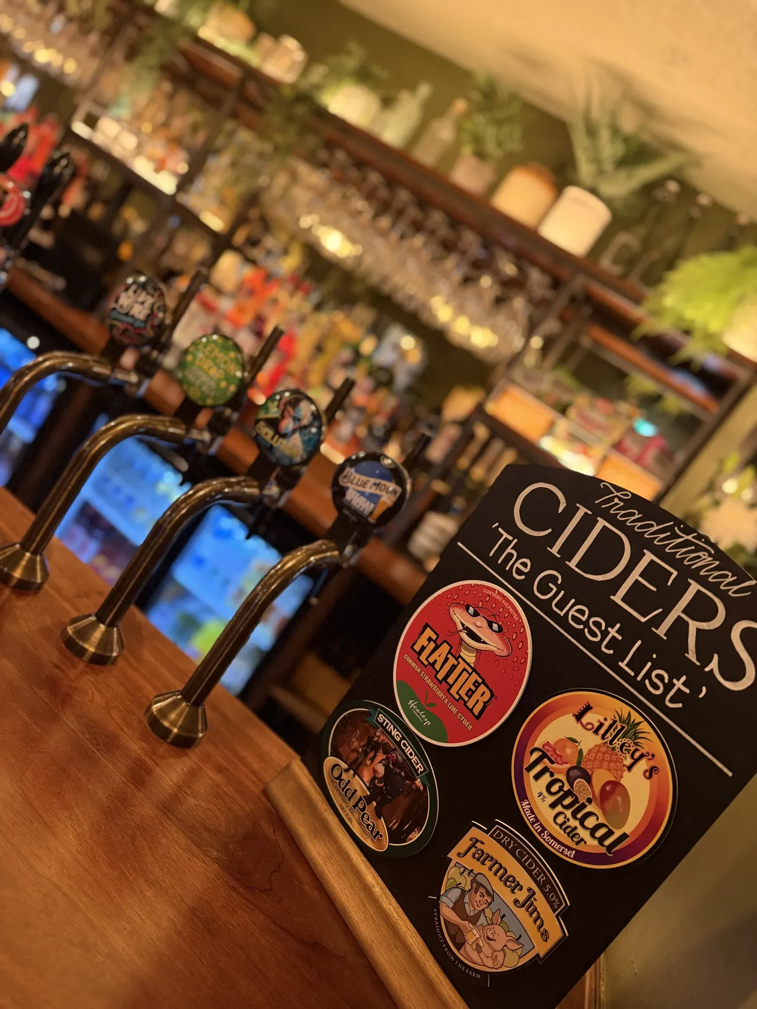 The Old Horse, Leicester