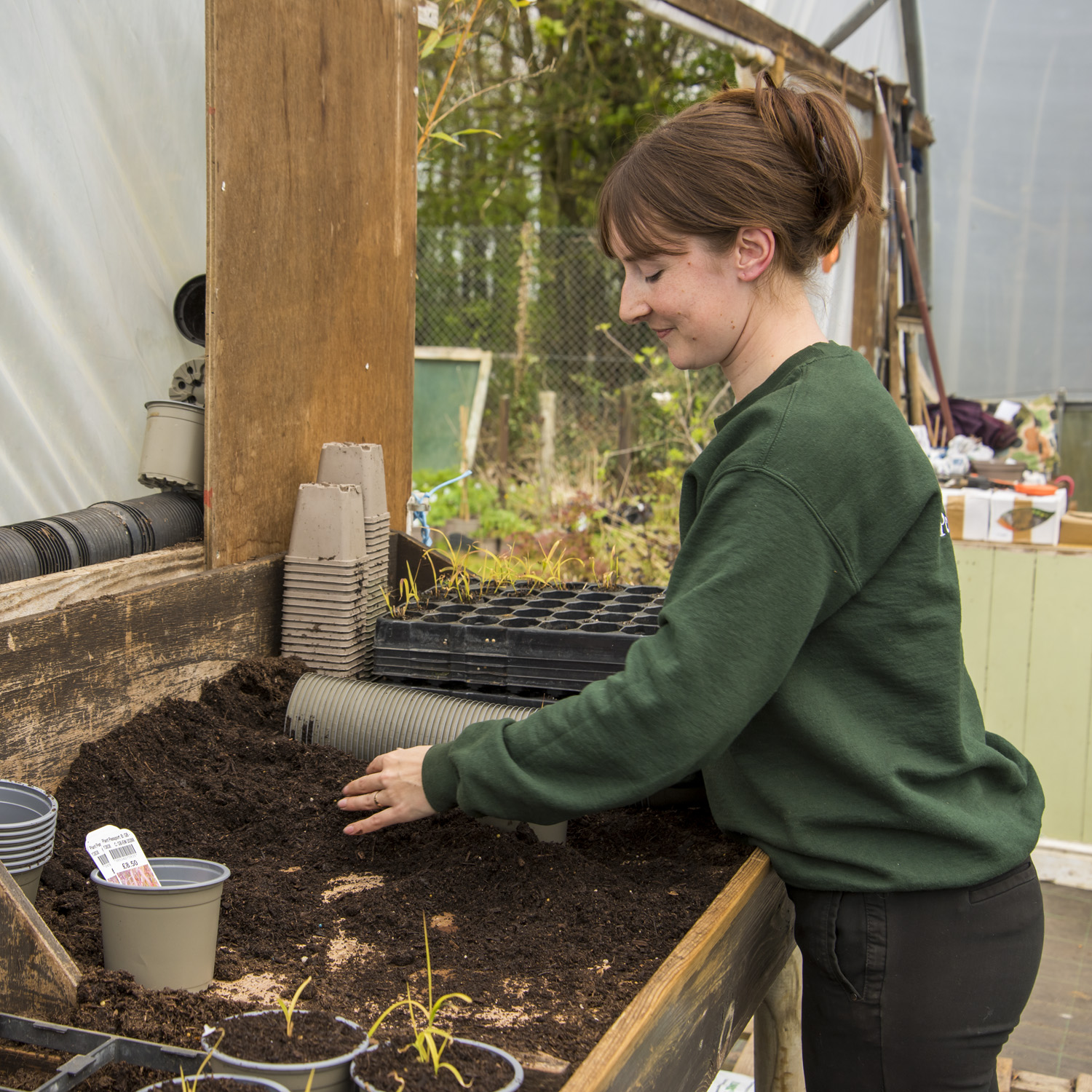 Barnsdale Gardens – Nursery Walk & Talk, ‘Plants for an Autumn Lift’