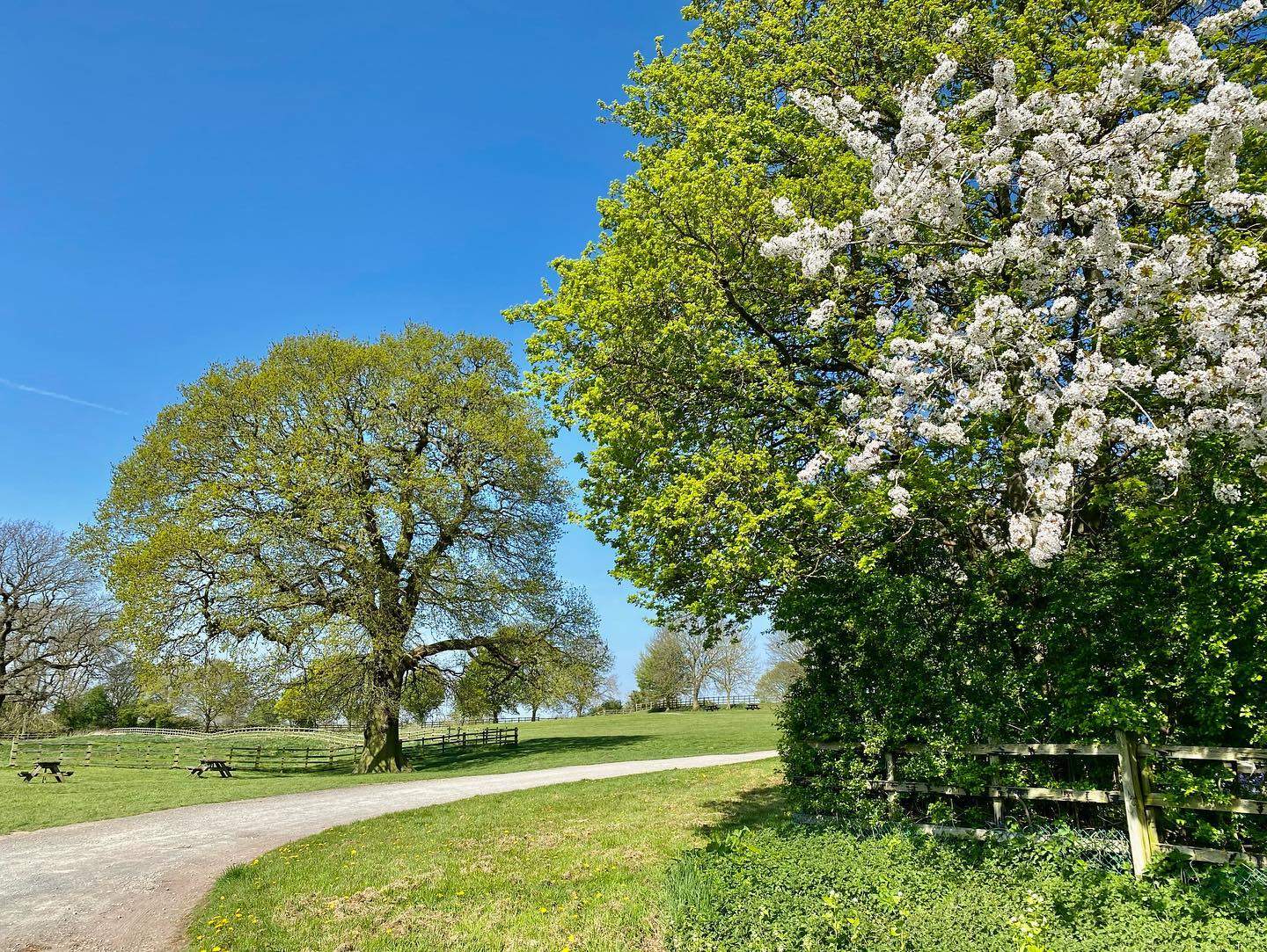 Bosworth Battlefield Heritage Centre — gallery image 4