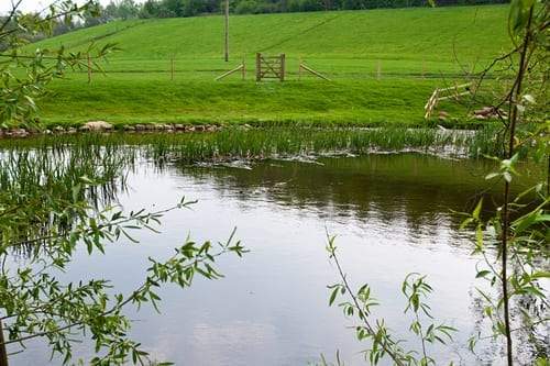 Stonehurst Family Farm and Motor Museum — gallery image 4