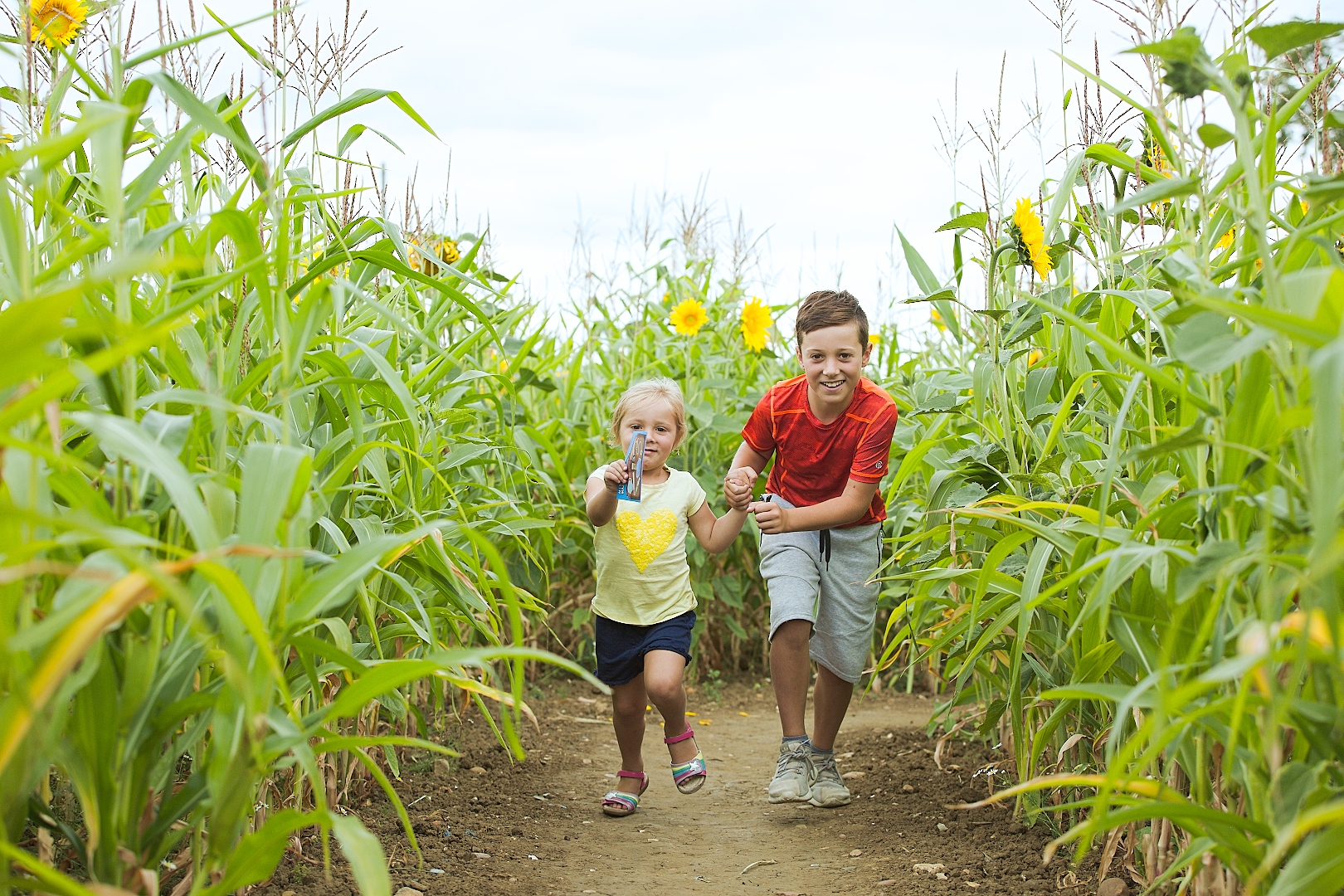 Wistow Maze — gallery image 2