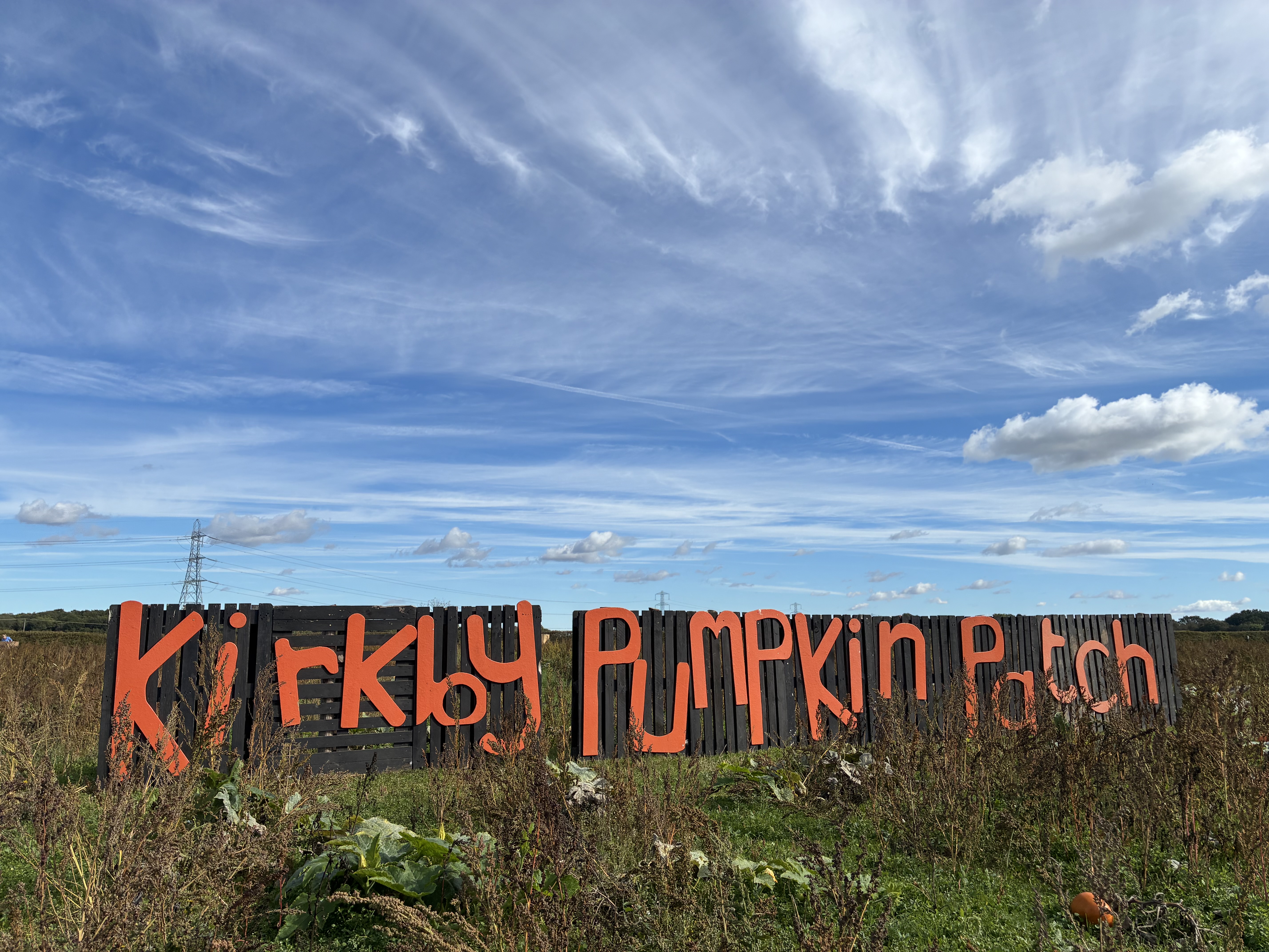 Kirkby Pumpkin Patch