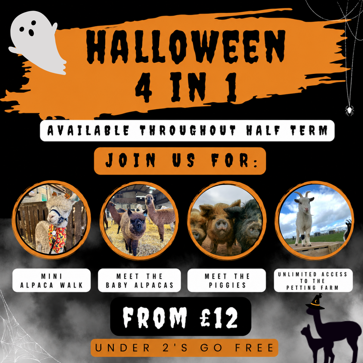 Halloween 4 in 1 Experience