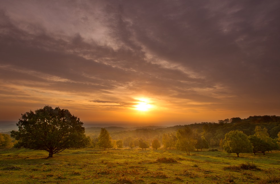 Beacon Hill Country Park