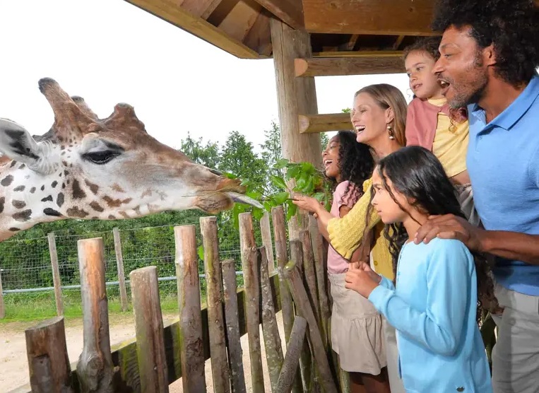 Twycross Zoo — gallery image 3