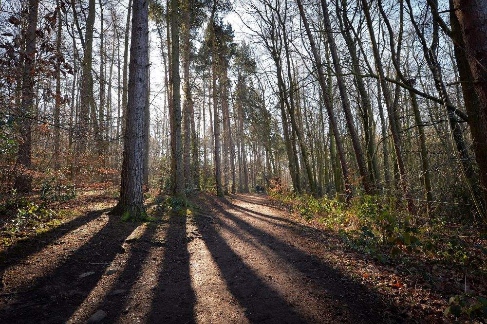 The Outwoods Country Park