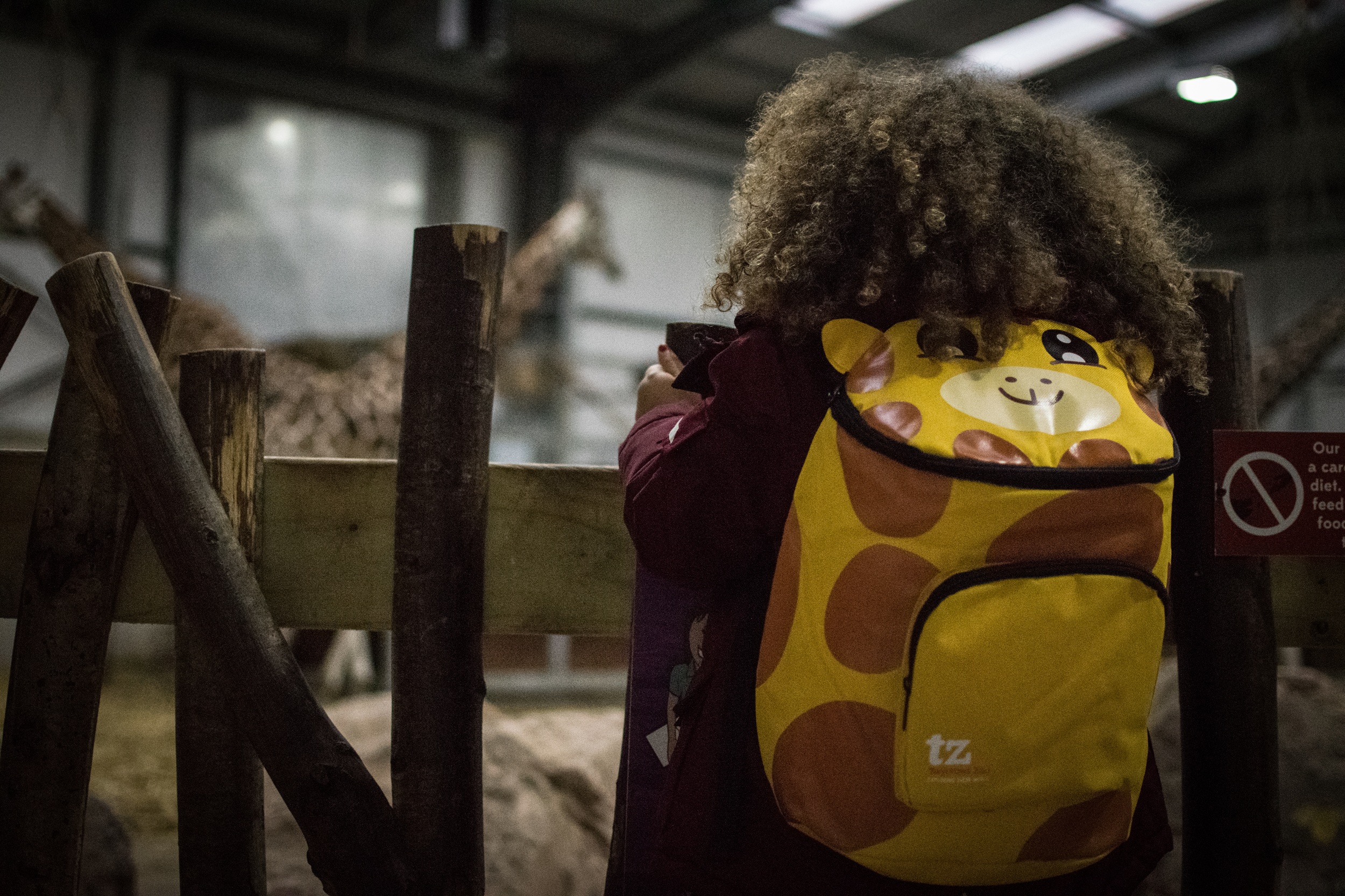 Twycross Zoo — gallery image 2